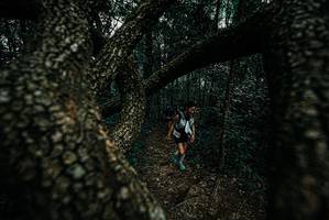 BIB: 
                            <button type="button" onclick="openModal(25689659)" class="btn btn-primary btn-sm float-right btn-popup" data-toggle="modal" data-target=".modal-high-quality">
                        <i class="fas fa-shopping-cart"></i> Add to Cart
                    </button>
                                            <button type="button" onclick="isThisMe(25689659, true)" class="btn btn-success btn-sm float-right btn-popup btn-isme hidden" data-toggle="tooltip" data-placement="bottom" title="นี่คือรูปของคุณใช่ไหม คลิกที่นี่เพื่อเอาเข้าอัลบั้ม">
                        <i class="fas fa-plus"></i> Add to album
                    </button>
                    <button type="button" onclick="isThisMe(25689659, false)" class="btn btn-warning btn-sm float-right btn-popup btn-isnotme hidden">
                        <i class="fas fa-ban"></i> Remove from album
                    </button>